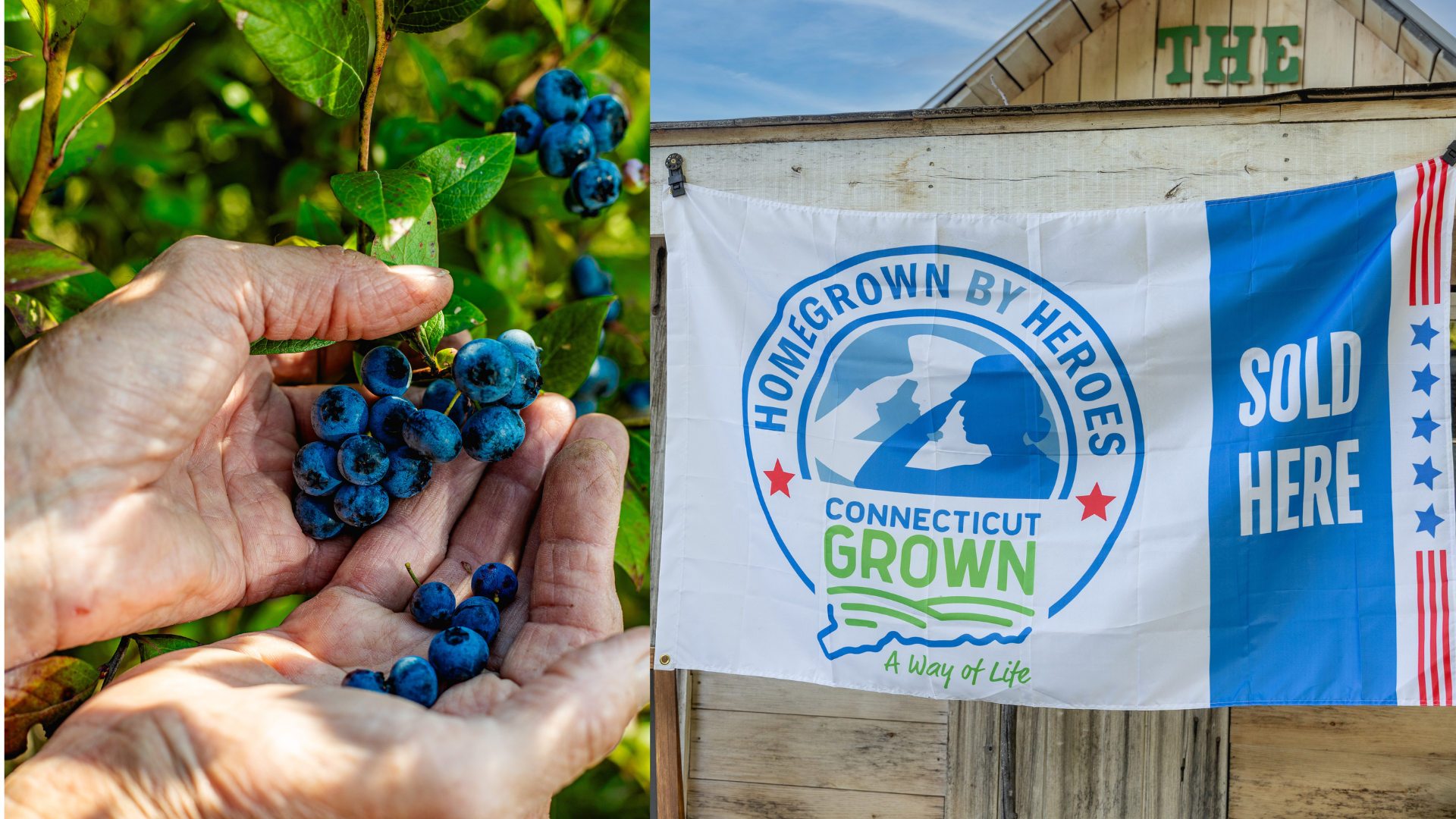 Donation Form Graphic Depicting Blueberries and Homegrown by Heroes Flag